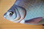 Продам рыбу "Abramis Brama" ручная работа, красота, как живая, фото №3