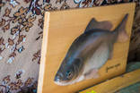 Рыба ‘‘Cyprinus Carpio’’ ручная работа., фото №4