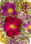 Цветочная фантазия, композиция из засушенных цветов и листьев, фото №4