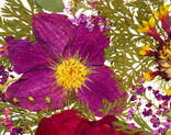 Цветочная фантазия, композиция из засушенных цветов и листьев, фото №5
