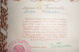 Благодарность за Форсирование Днепра 1943, Помазанова Вера Пимоновна, фото 3