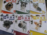 Буклеты The dog collection 9шт, фото №2