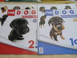 Буклеты The dog collection 9шт, фото №5