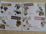 Буклеты The dog collection 9шт, фото №10