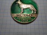 Медаль Федерация Служсобаководства СССР Экстерьер, фото №4