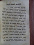 Естественная история 1866г. С цветными рисунками., фото №22