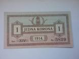 1 korona 1914 Lwow, фото №2