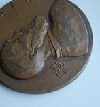 1986 Медаль Василий Ватагин. Скульптор, анималист. модельер ИВАНОВ. 60мм, фото №4