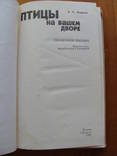 Птицы на Вашем дворе. А.А.Осадчий.  (2)., фото №3
