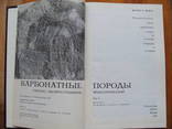 Карбонатные породы. Генезис. Распространение. Классификация., фото №4