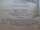 На приусадебном участке. Советы садоводу и огороднику., фото №12