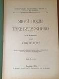 1910 Який посів таке буде жниво, фото №3