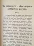 1910 Який посів таке буде жниво, фото №6