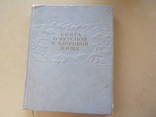 Книга о здоровой пище 1964г., фото №2