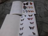 Butterflies of West Malaysia &amp; Singapore 1-2 том Бабочки Западной Малайзии и Сингапуре, фото №7