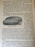 1929 Баштан та як його пильнувати, тир. 5000 єкз., numer zdjęcia 6