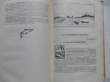 Рыболов-спортсмен. Альманах. № 11. 1959 г. (для всех, кто любит рыбалку), фото №8