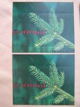 Packaging from toilet soap of the USSR "Herringbone" two backgrounds 4 pcs, photo number 3