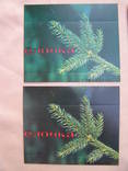 Packaging from toilet soap of the USSR "Herringbone" two backgrounds 4 pcs, photo number 5