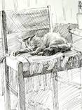 " Спящий кот", фото №3