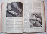 Печатное и переплетное дело (англ.) Harry Whetton, 1946 г., фото №11