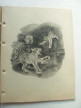 1950 Рассказ о львёнке, фото №6