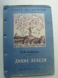 1950 Андерсен Дикие Лебеди, фото №2