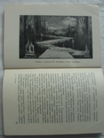 1956 Пётр Вильямс Живопись, фото №4