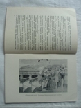 1956 Пётр Вильямс Живопись, фото №8