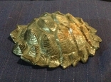 Панцирь черепахи чугун, фото №3