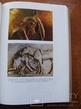 Археолоія Української РСР у трьох томах 1971-1975, фото №91