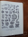 Археолоія Української РСР у трьох томах 1971-1975, фото №98