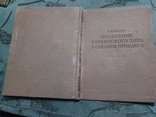  Поселения Турбинского типа в Среднем Прикамье.  1961., фото №3