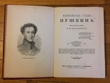 Юношеские годы Пушкина В. П. Авенариус, фото №7