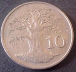 10  центів 1991 Зімбабве, фото №2