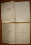 ACADEMIA. Боккаччьо Джьованни. Декамерон. В двух томах. 1928 г, фото №5