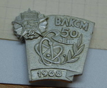 Значок 1968 50 лет ВЛКСМ. Орден Революции, фото №2