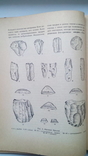 Археология СССР, фото №4