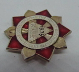 Знак 1975 Киев. Студенческий Стрительный отряд им XXX-летия Победы (Э), фото №4