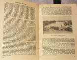 Г.И. Мухин и М.П. Потемкин-Австралия-1956 год, фото №5