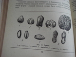 "Продовольственные товары" Москва "Экономика" 1978 год, тираж 150 тыс., фото №4