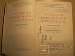 История украинской литературы том1, фото №6