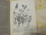 Яковлев А. Жизнь и приключения Роальда Амундсена.1936 г, фото №18