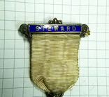 Награда масонов STEWARD. Серебро. RMIG 1921 г., фото №5