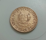 Суринам 1 цент 1966, фото №3