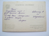 Киев.Ленин.1959г., фото №3