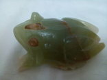 Лягушка, жаба оникс, фото №2
