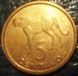 5  центавос  2006 Року Мозамбік (гепард), фото №2