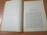 Любовь Христова. 1915 год ., фото №8