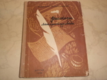 Андронников И. Рассказы литературоведа. 1962 год., фото №2
